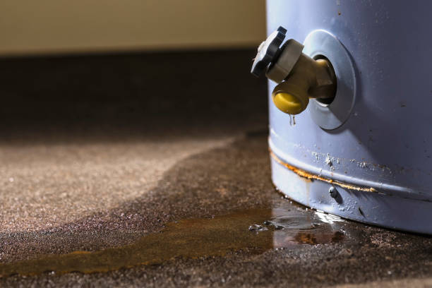 Best Wood Floor Water Damage Restoration in New Lexington, OH